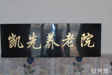 凯先养老院