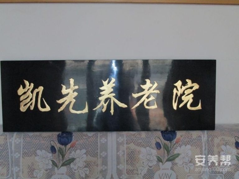 凯先养老院