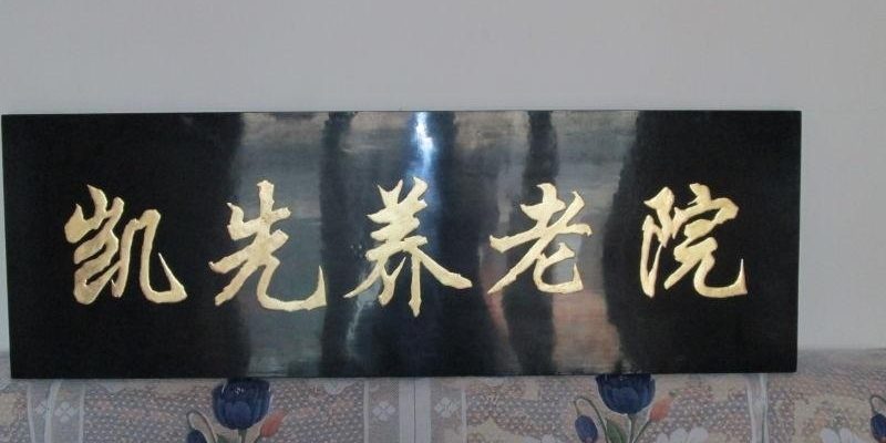 凯先养老院