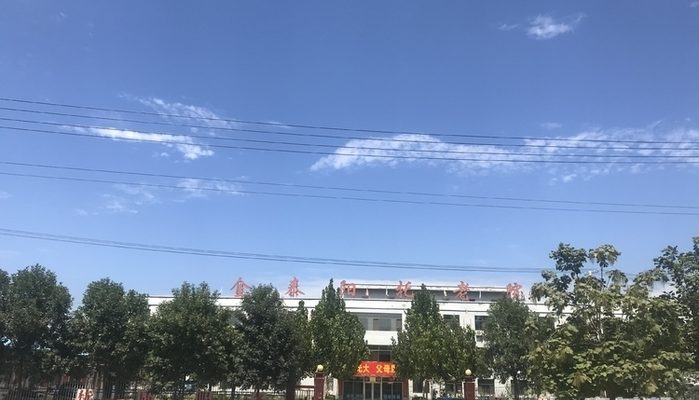 阜城县金泰阳托老院