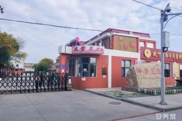 滨海新区枫叶正红老年养护院
