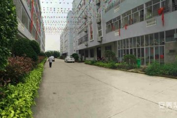 福清音西夕阳乐乐乐之家