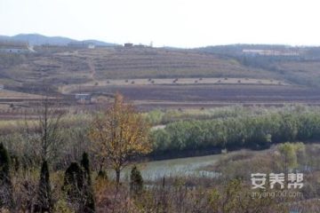 大连金州新区卧龙国际养老中心