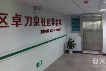 武汉市洪山区卓刀泉社区养老院