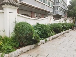 沈阳市大东区枫嘉康养服务中心