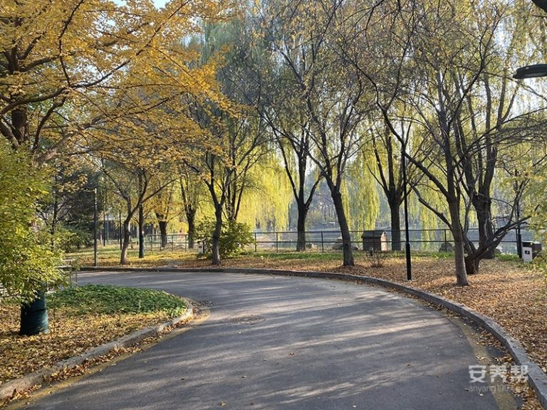 沈阳蕾娜范颐养院