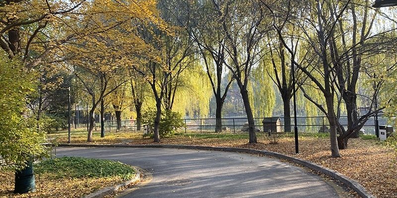 沈阳蕾娜范颐养院