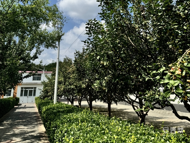 北京市房山区拱辰街道社会福利中心