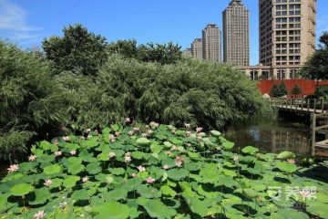 优护养老照护中心