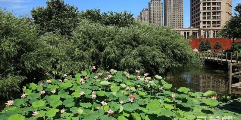 优护养老照护中心