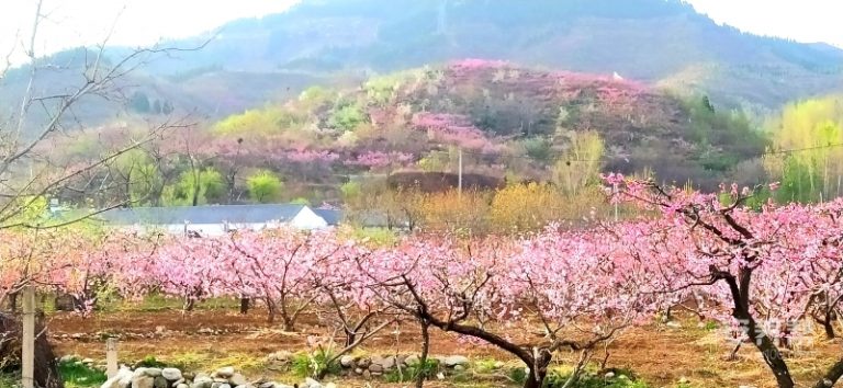 九如城锦绣川康养中心