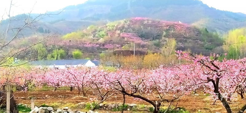 九如城锦绣川康养中心