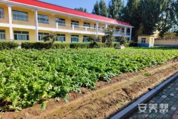 山东健康益寿光年高新区中心敬老院