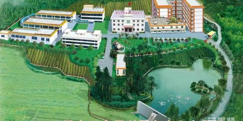第一养老云浮市云安区福利服务中心