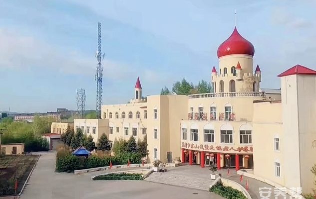 鹤岗市东山城堡失能老人护养院