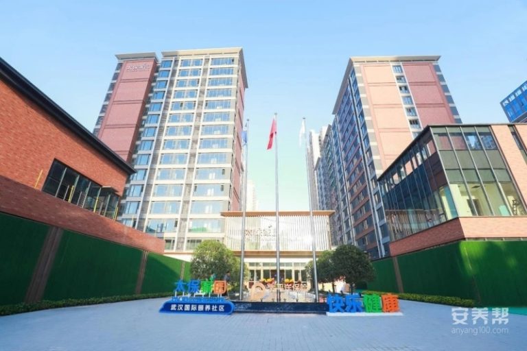 太保家园·武汉国际颐养社区