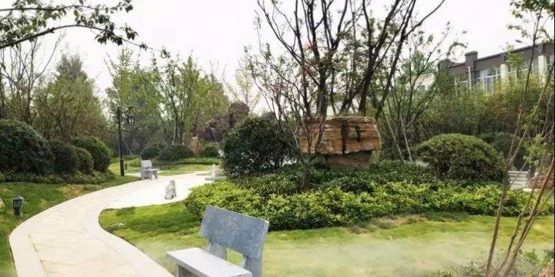 菏泽定陶环社区国际康护中心