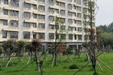 益阳市鸿泰居家养老院