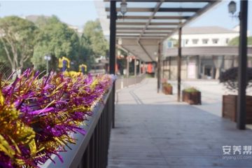温州市怡福山庄养老服务中心