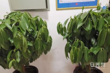 宛乡情老年公寓