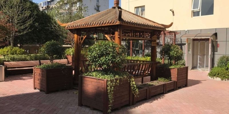 向阳院长者公寓（中环店）