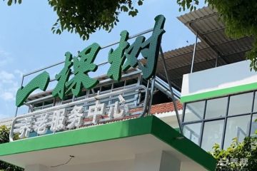 一棵树养老服务中心（广信区旭日街道）