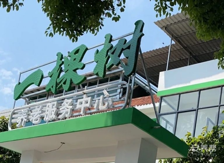 一棵树养老服务中心（广信区旭日街道）