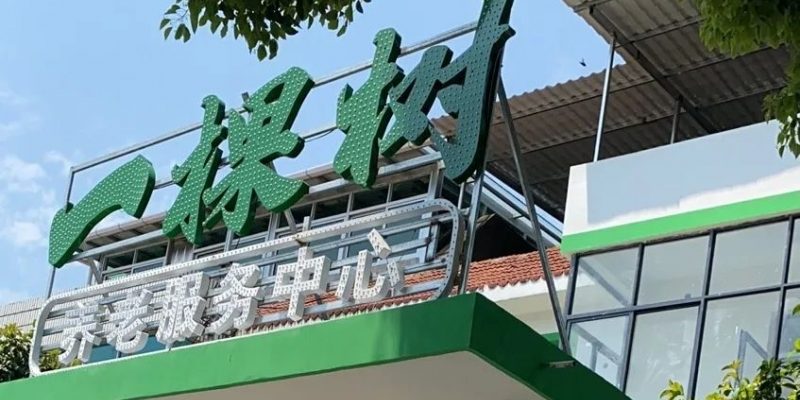 一棵树养老服务中心（广信区旭日街道）