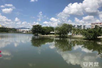海南椿龄居养老度假基地