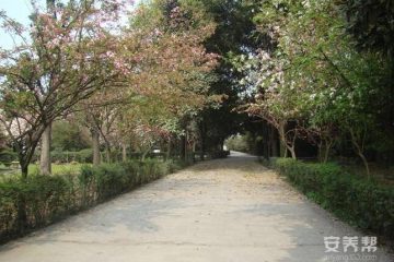 南宁市江南区关爱养老服务中心
