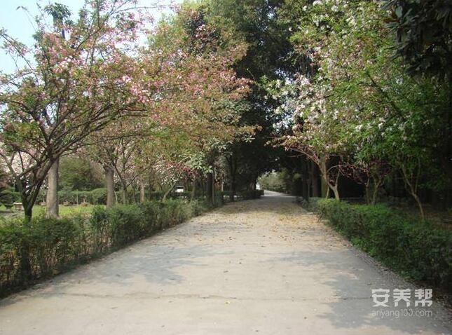 南宁市江南区关爱养老服务中心