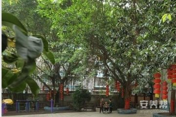 重庆夕阳红火养老中心第二分院
