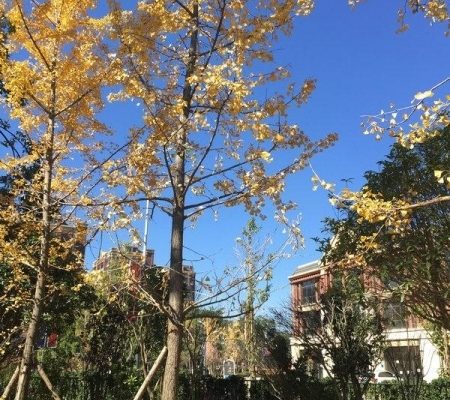官渡区官房老年公寓