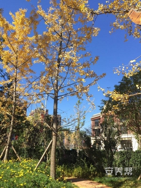 官渡区官房老年公寓