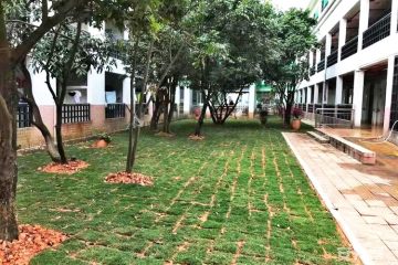 深圳市宝安区燕罗街道颐年院