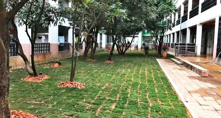 深圳市宝安区燕罗街道颐年院