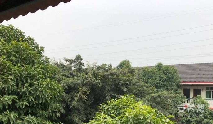 重庆沙坪坝区兴艺老年公寓