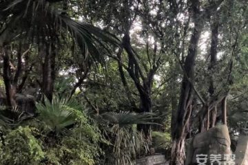 青风酒店式老年养护中心