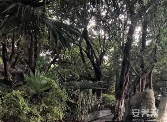 青风酒店式老年养护中心