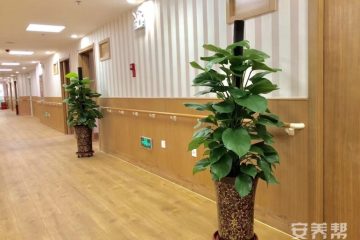 乐善之家公园壹号老年养护院