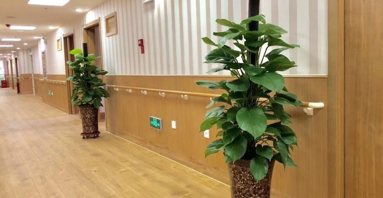 乐善之家公园壹号老年养护院