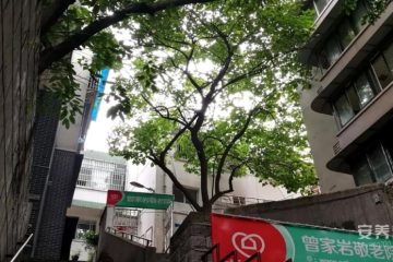 重庆惠源家养老-曾家岩养老院
