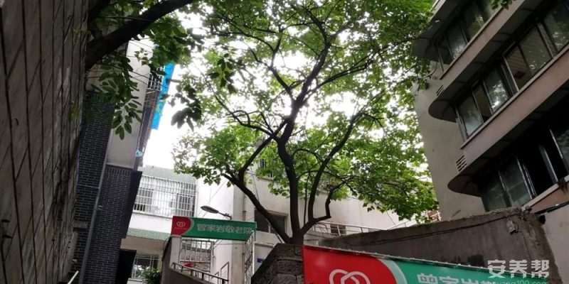 重庆惠源家养老-曾家岩养老院
