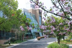 徐汇区久康养老院