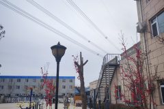 阳光之城养老院