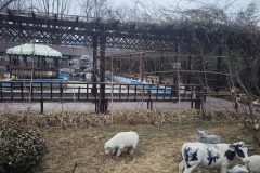 阳光之城养老院
