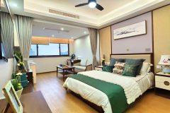 上海文逸护理院/上海人寿堂文逸护理院 （ai写的时候不要出现东湖集团）