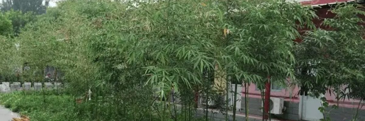 北京市密云区友泰天颐敬老院