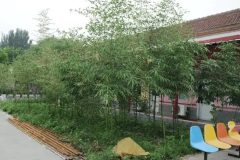 北京市密云区友泰天颐敬老院