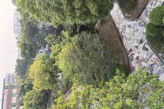 谷丰花都颐养院